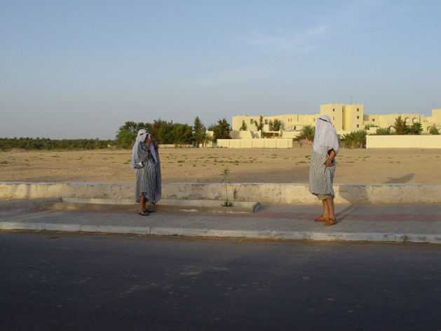 Россияне смогут посещать Замбию, Зимбабве, Мозамбик и Эсватини без виз