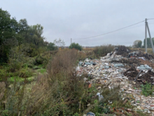 Нижегородец заплатит более 1,9 млн руб. за организацию свалки 
