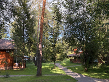 Бастрыкин потребовал доклад по делу о мошенничестве застройщика в Ленобласти