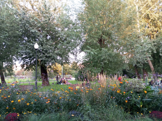 Глава Минтруда против налога на тунеядство, но «за» диверсификацию госпомощи безработным