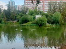 Харитоновский парк стал камнем преткновения между Екатеринбургом и Москвой