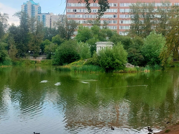 Харитоновский парк стал камнем преткновения между Екатеринбургом и Москвой