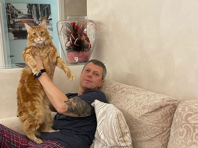 «Терпят нас за вкусняшки»: котики, которые стоят за екатеринбургскими бизнесменами