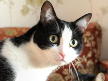 В Екатеринбурге предельный уровень цен на теплоэнергию может повыситься в полтора раза