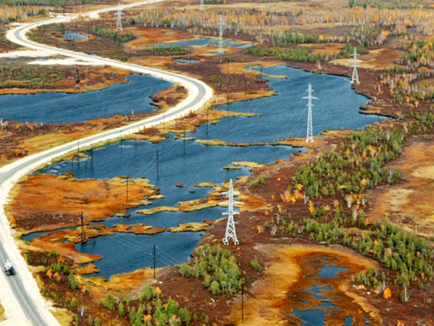 Обладателем наибольшего запаса денежных средств в РФ является «Сургутнефтегаз»