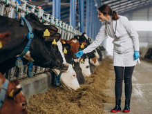 Совхоз «Шумихинский» за 6,3 млн рублей приобрела семья экс-депутата Заксобрания