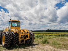Нижегородские предприятия АПК получили гранты более чем на 26 млн руб.
