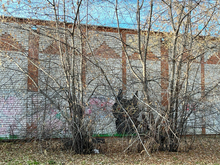 Объем выдачи потребительских кредитов в Тюменской области снизился на 32%