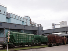 Экспорт зерна и рапса из Красноярского края просел почти вдвое