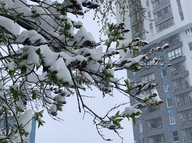 Абонент не абонент: в России ввели суточный «период охлаждения» для сим-карт