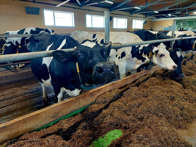 В Свердловской области построят семь молочных ферм, в одну из них вложат 2 млрд руб.