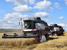 Красноярский край намолотил на рекорд. Сколько зерновых собрали аграрии?