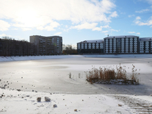 На очищенном в этом году Утином пруду в центре Тюмени откроется каток