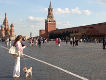 Минцифры расширило список «белых сайтов»