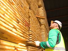 Заграница сокращает закупки красноярского леса