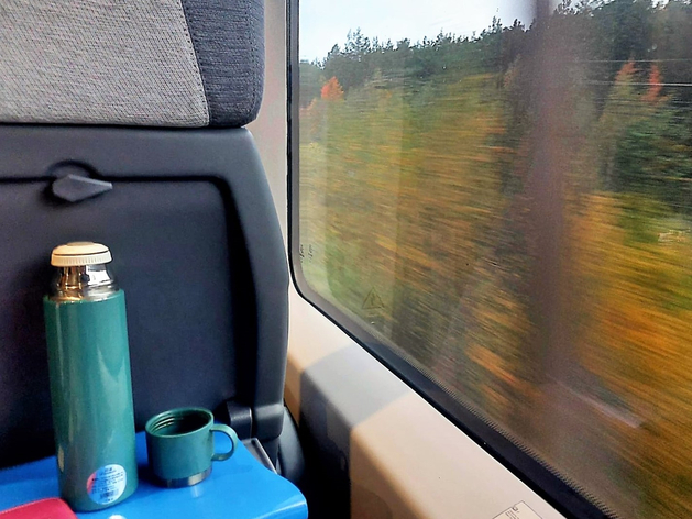 В Москву из Екатеринбурга за 8 часов на поезде: РЖД представила проект ВСМ между столицами