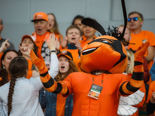 «Баланс интересов учтен»: депутаты согласовали продажу 50% акций ФК «Урал»