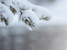 Усилится ветер и пойдет снег в Новосибирске на выходных