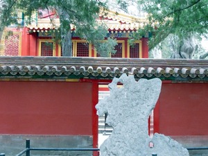 В 2025 г. в России зарегистрировано 3300 новых китайских компаний