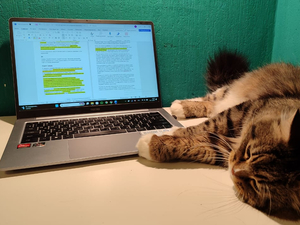 Закон о технологическом сборе на электронную продукцию заработает 1 сентября 2026 г.