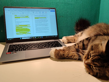 Закон о технологическом сборе на электронную продукцию заработает 1 сентября 2026 г.