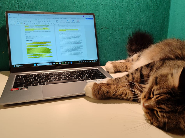 Закон о технологическом сборе на электронную продукцию заработает 1 сентября 2026 г.