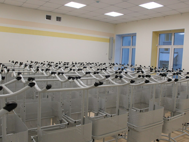 Школы Тюменской области отправляют на дистанционку из-за всплеска ОРВИ