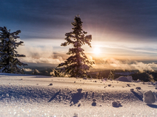 Погодные «качели» ждут новосибирцев на новой рабочей неделе