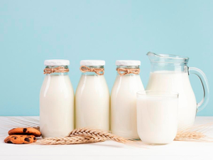 В России создана Хартия о контроле качества молочной продукции 