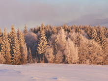 Продолжится похолодание и снегопады в Новосибирске