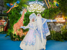 «Веселый Остров» в Новосибирске: где детский праздник становится главным событием