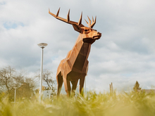 На Среднем Урале ликвидируют компанию, управляющую туристско-рекреационными кластерами 