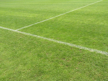 На улице Республики в Тюмени планируют строить футбольную школу