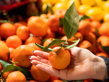 Новосибирская область вошла в топ регионов с самым высоким импортом мандаринов