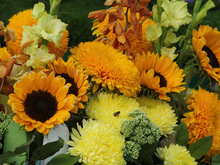 Петербург включил в план благоустройства на 2026 год более 50 новых территорий