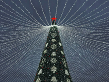 Открытие главной новогодней елки Тюмени запланировано на 27 декабря