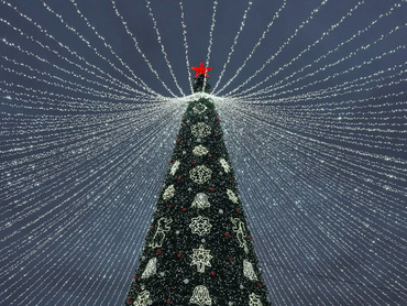 Открытие главной новогодней елки Тюмени запланировано на 27 декабря