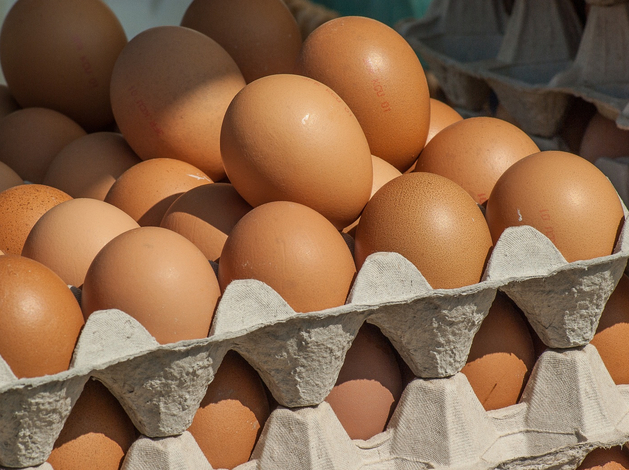 Пищевая промышленность России в рецессии впервые за 15 лет Пищевая промышленность России в рецессии впервые за 15 лет