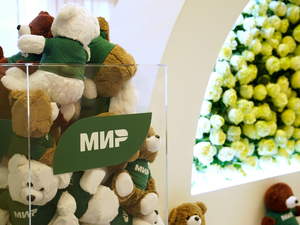 Росфинмониторинг в 2026 г. получит доступ ко всем данным оператора СБП и карт «Мир»