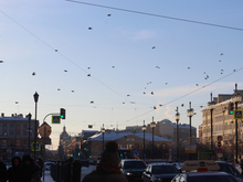 В Петербурге представили стратегию по привлечению туристов в зимний сезон
