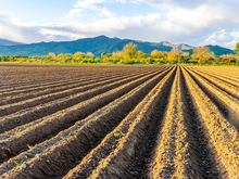 «Ингосстрах» выплатил более 11 млн руб. агропроизводителю 