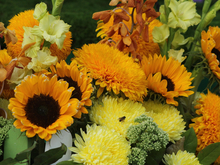 Спор о бренде «Цвети и пахни»: предприниматель из Ленобласти проиграл суд