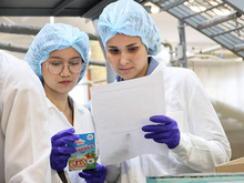 Объем поставок свердловской сельхозпродукции в Китай увеличился более чем в 10 раз