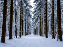 В тепле или холоде? Какой будет погода в выходные 20...21 декабря