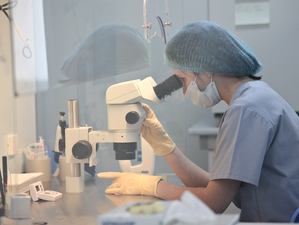 Hirvi в Петербурге готовят к банкротству на фоне налогового дела и обысков