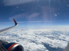 В Петербурге представили рейс с ливреей в честь поискового отряда «ЛизаАлерт»