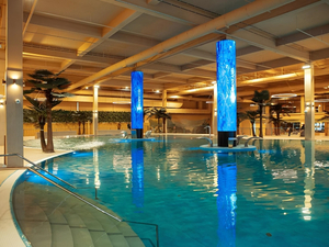 Екатеринбург бьет рекорды: в городе появится самый крупный крытый бассейн России