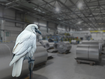 «Белая ворона» металлопроката, или Как взлететь на фоне падающего рынка