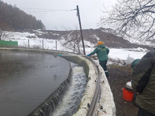 Златоустовский «Водоканал» уличили в сбросе стоков в реку Ай
