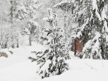 Пасмурно, снегопад и похолодание в Новосибирске на выходных